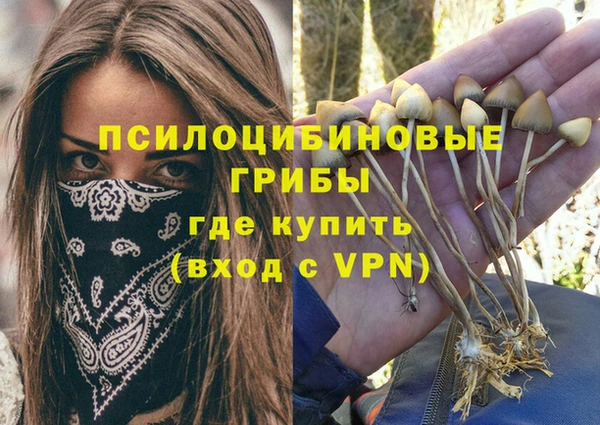 прущий лед Верея