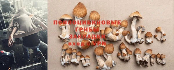 герыч Верхний Тагил