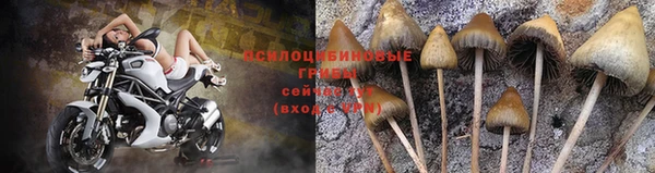 прущий лед Верея